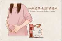 2026廊坊试管婴儿成功率深度解析：高龄生子需要尝试几次？